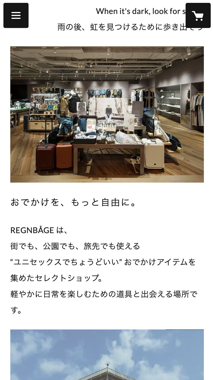 REGNBAGE image 6